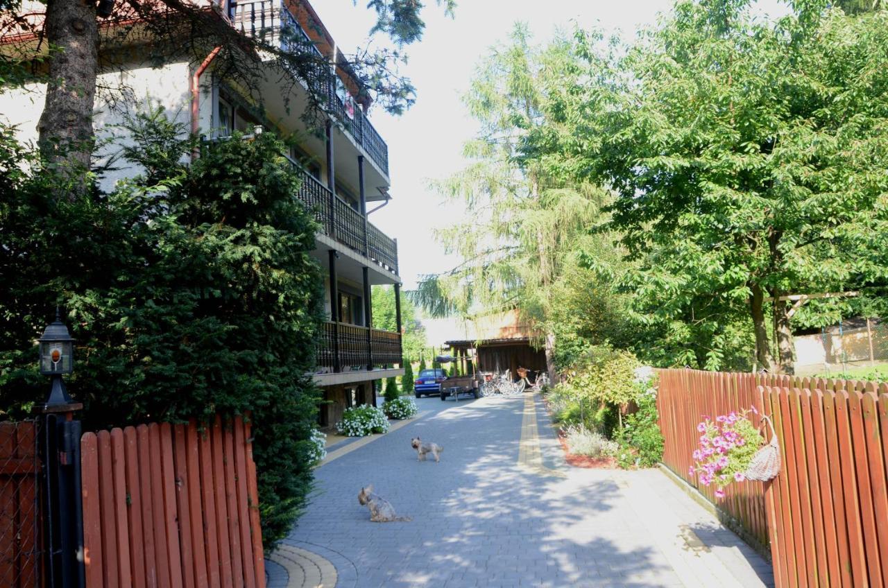 Goscinny Prog Resort *